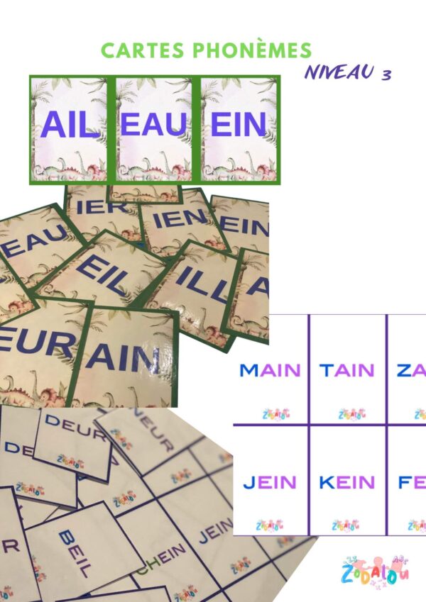 Cartes Dinosaures – Image 4