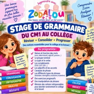 Stage de grammaire – Du CM1 au collège